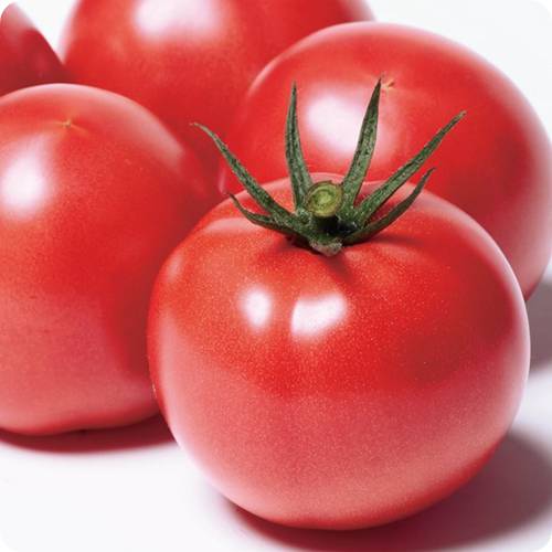 토마토 효능