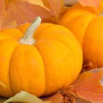 둥근 모양의 단호박이 가을 잎과 함께 놓인 장면으로, 계절감과 건강식품 이미지를 함께 표현한 이미지 Whole sweet pumpkins placed with autumn leaves representing seasonal freshness and wellness