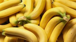 녹색 바나나 vs 갈색 바나나 효능 극대화하는 섭취법 비교
