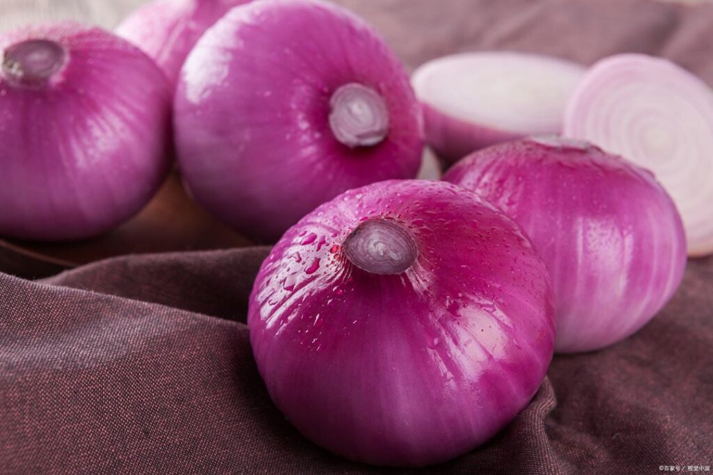 붉은빛이 도는 적양파가 물방울 맺힌 채 천 위에 놓여 있는 장면으로, 퀘르세틴이 풍부한 양파의 건강 효능을 표현함 Red onions with water droplets on fabric, highlighting their quercetin content and health benefits