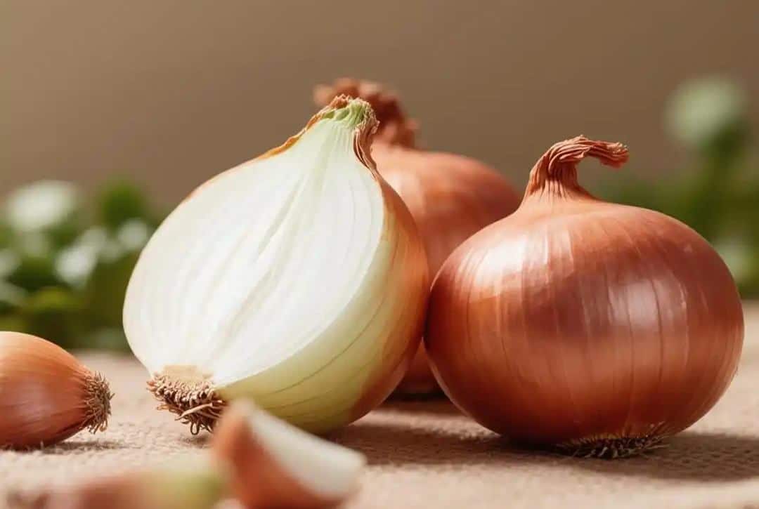 갈색 껍질의 양파와 반으로 자른 양파가 함께 놓인 모습으로, 항산화 성분이 풍부한 양파의 신선함을 보여주는 이미지 Fresh brown-skin onions, one cut in half, illustrating the freshness and antioxidant richness of onions