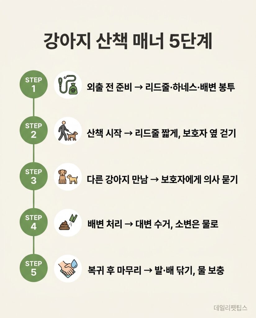 강아지 산책 매너 5단계 - 외출 전 준비, 산책 시작, 다른 강아지 만남, 배변 처리, 복귀 후 마무리를 단계별로 설명한 중앙 정렬 인포그래픽