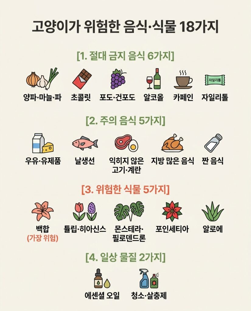 고양이가 위험한 음식·식물 18가지를 절대 금지 음식, 주의 음식, 위험한 식물, 일상 물질 4개 카테고리로 분류하고 백합을 가장 위험한 식물로 강조한 중앙 정렬 교육용 인포그래픽