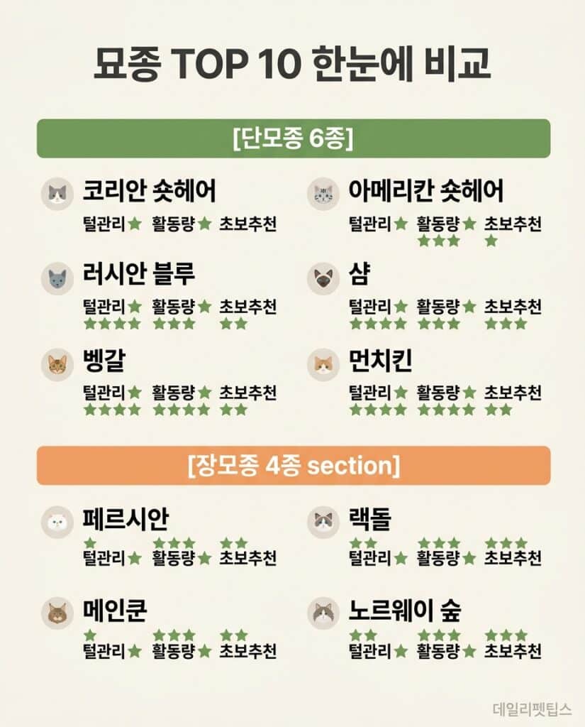 묘종 TOP 10을 단모종 6종과 장모종 4종으로 분류하고 털관리, 활동량, 초보추천 기준으로 비교한 중앙 정렬 인포그래픽