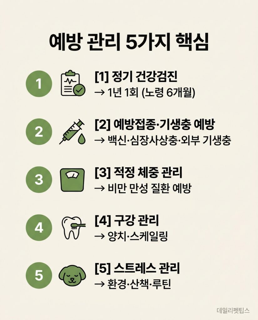 예방 관리 5가지 핵심 - 정기 건강검진, 예방접종·기생충 예방, 적정 체중 관리, 구강 관리, 스트레스 관리를 정리한 인포그래픽