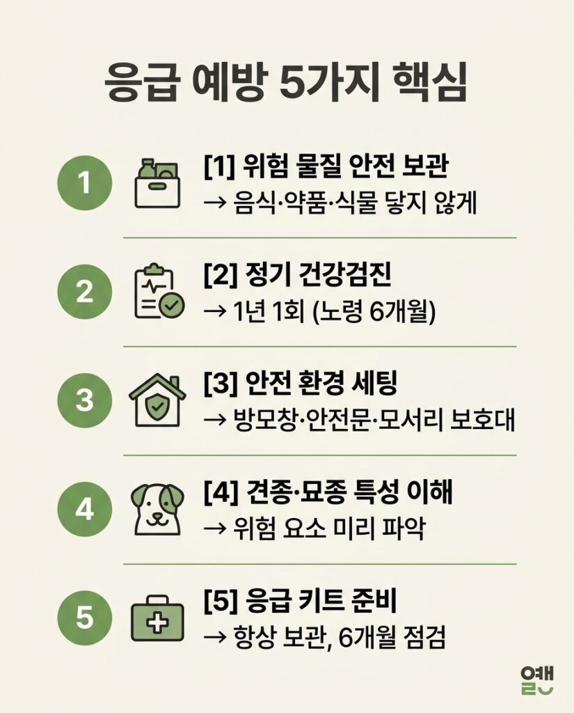 응급 예방 5가지 핵심 - 위험 물질 보관, 정기 건강검진, 안전 환경, 견종 특성 이해, 응급 키트 준비를 정리한 예방 인포그래픽