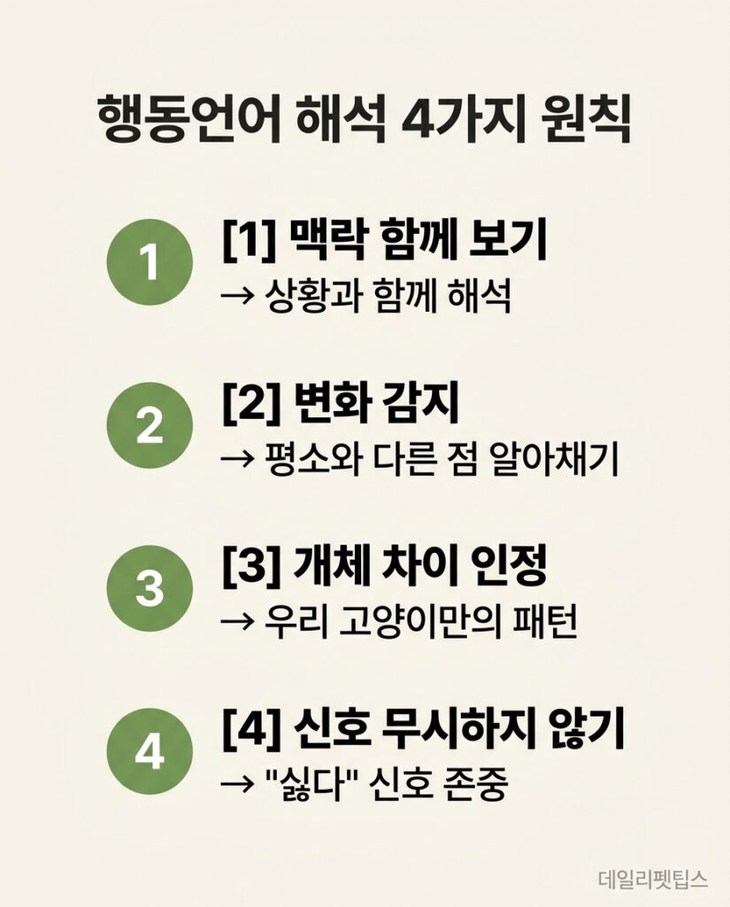 행동언어 해석 4가지 원칙 - 맥락 함께 보기, 변화 감지, 개체 차이 인정, 신호 무시하지 않기를 정리한 원칙형 인포그래픽