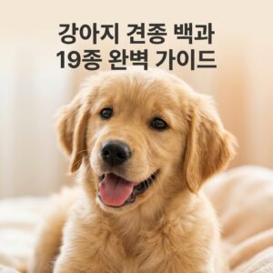 강아지 견종 백과 19종 성격·관리·라이프스타일 매칭