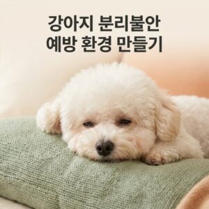 강아지 분리불안 예방하는 환경 만들기