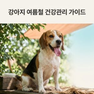 강아지 여름철 건강관리 완벽 가이드 2026
