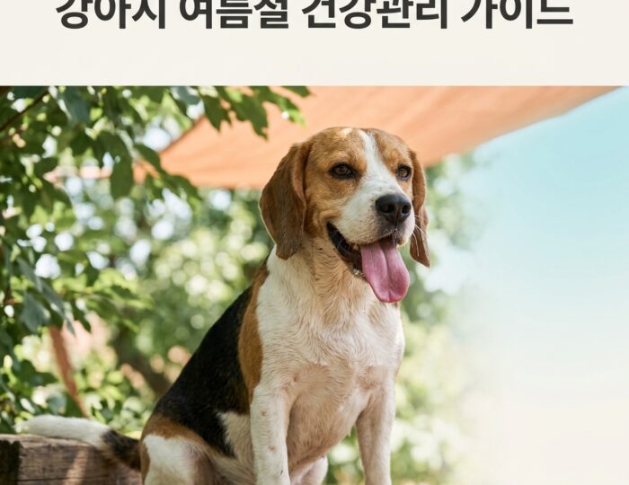 강아지 여름철 건강관리 완벽 가이드 2026