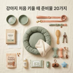 강아지 처음 키울 때 준비물 20가지 완벽 체크리스트