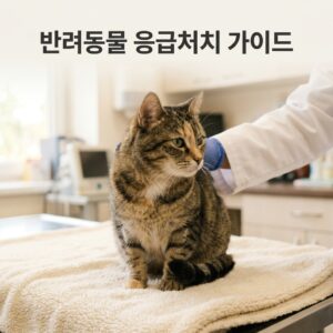 반려동물 응급처치 가이드 상황별 대응법 정리