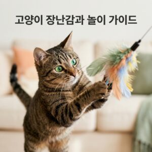고양이 장난감 종류와 놀이 가이드